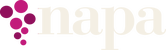 Napa Group